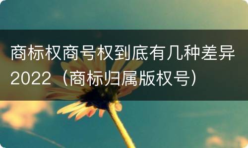 商标权商号权到底有几种差异2022（商标归属版权号）