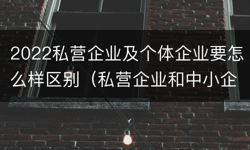 2022私营企业及个体企业要怎么样区别（私营企业和中小企业）