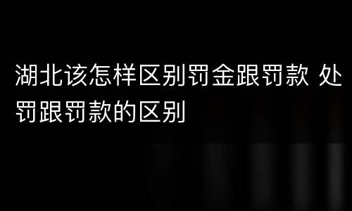 湖北该怎样区别罚金跟罚款 处罚跟罚款的区别