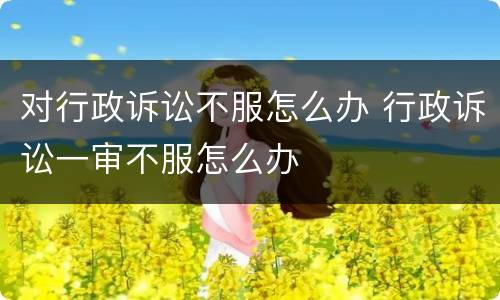 对行政诉讼不服怎么办 行政诉讼一审不服怎么办