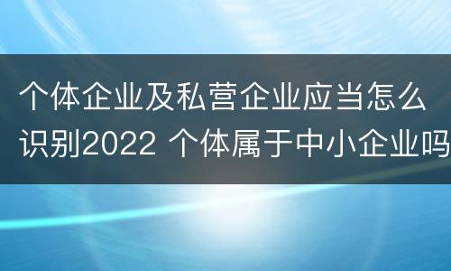 个体企业及私营企业应当怎么识别2022 个体属于中小企业吗