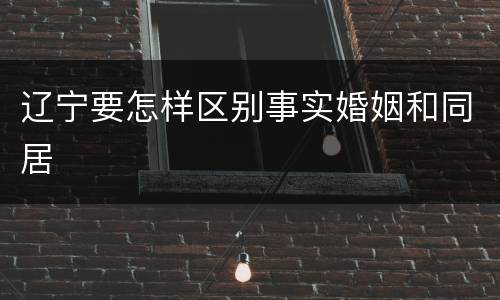 辽宁要怎样区别事实婚姻和同居