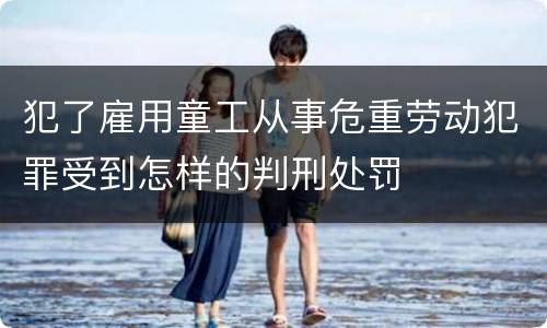 犯了雇用童工从事危重劳动犯罪受到怎样的判刑处罚