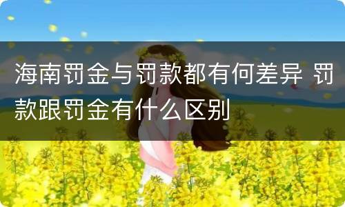 海南罚金与罚款都有何差异 罚款跟罚金有什么区别