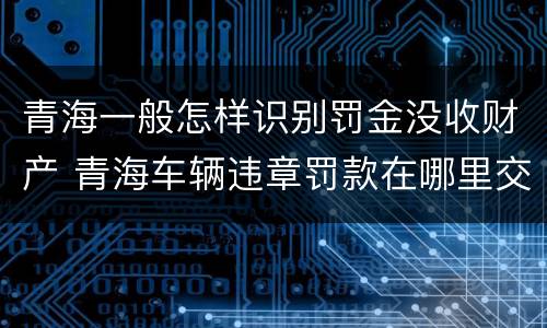 青海一般怎样识别罚金没收财产 青海车辆违章罚款在哪里交