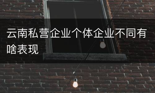 云南私营企业个体企业不同有啥表现