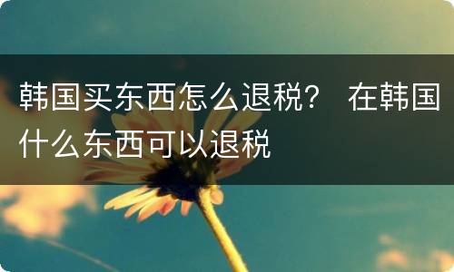 韩国买东西怎么退税？ 在韩国什么东西可以退税