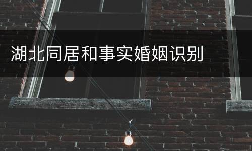 湖北同居和事实婚姻识别