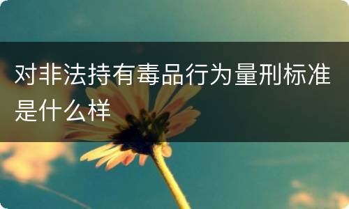 对非法持有毒品行为量刑标准是什么样