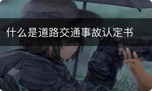 什么是道路交通事故认定书