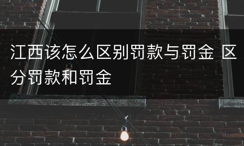 江西该怎么区别罚款与罚金 区分罚款和罚金