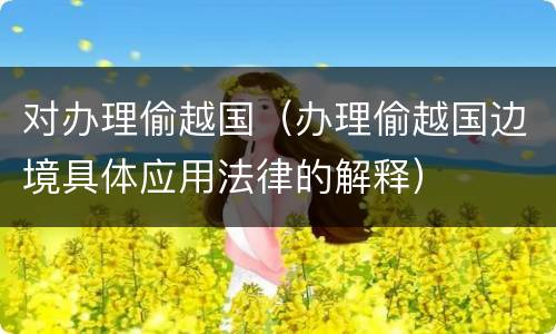 对办理偷越国（办理偷越国边境具体应用法律的解释）