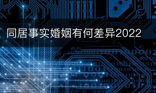 同居事实婚姻有何差异2022