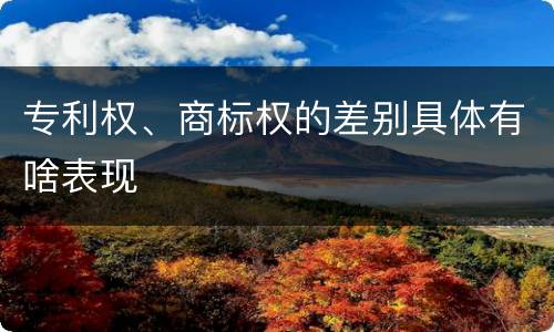 专利权、商标权的差别具体有啥表现