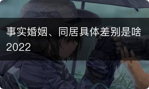 事实婚姻、同居具体差别是啥2022