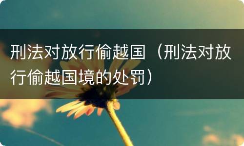 刑法对放行偷越国（刑法对放行偷越国境的处罚）