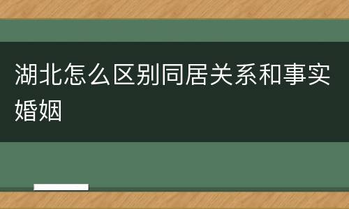 湖北怎么区别同居关系和事实婚姻