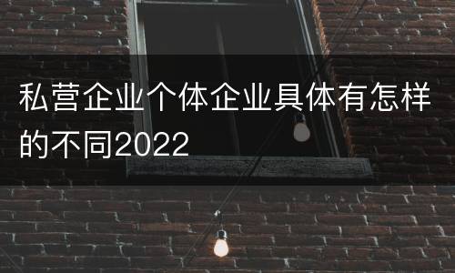 私营企业个体企业具体有怎样的不同2022