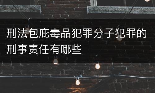 刑法包庇毒品犯罪分子犯罪的刑事责任有哪些