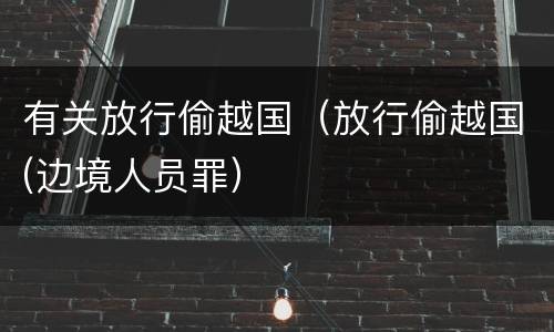 有关放行偷越国（放行偷越国(边境人员罪）