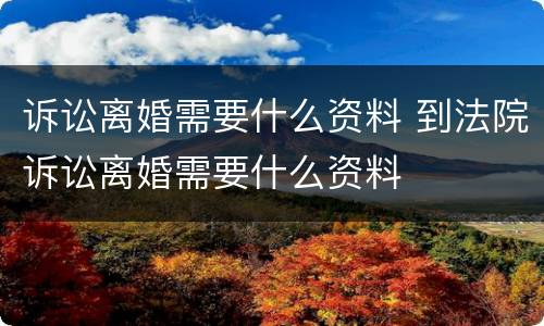 诉讼离婚需要什么资料 到法院诉讼离婚需要什么资料