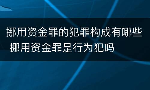挪用资金罪的犯罪构成有哪些 挪用资金罪是行为犯吗