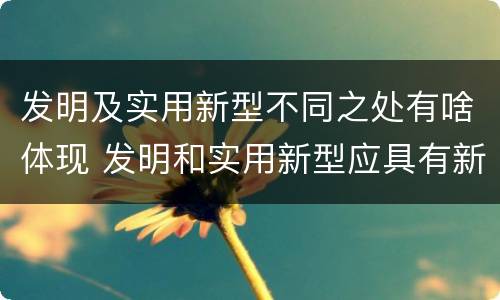 发明及实用新型不同之处有啥体现 发明和实用新型应具有新颖性的含义