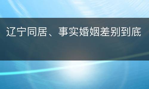 辽宁同居、事实婚姻差别到底
