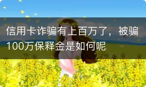 信用卡诈骗有上百万了，被骗100万保释金是如何呢