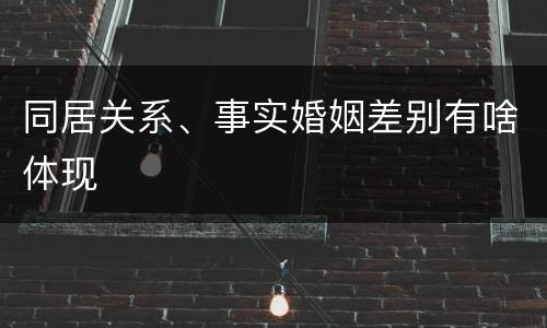 同居关系、事实婚姻差别有啥体现