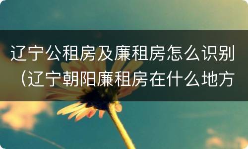 辽宁公租房及廉租房怎么识别（辽宁朝阳廉租房在什么地方）