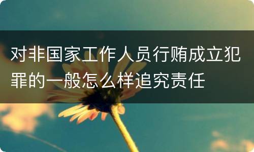 对非国家工作人员行贿成立犯罪的一般怎么样追究责任