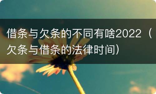 借条与欠条的不同有啥2022（欠条与借条的法律时间）