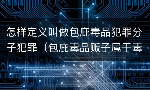 怎样定义叫做包庇毒品犯罪分子犯罪（包庇毒品贩子属于毒品犯罪吗）