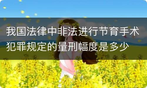 我国法律中非法进行节育手术犯罪规定的量刑幅度是多少