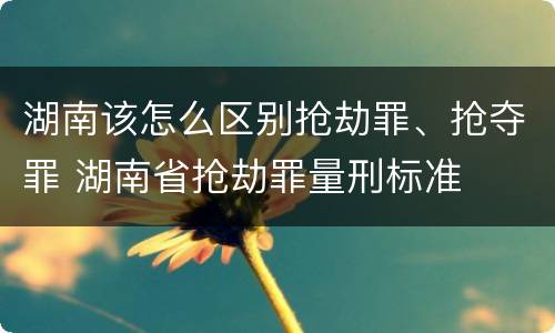 湖南该怎么区别抢劫罪、抢夺罪 湖南省抢劫罪量刑标准