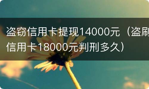 盗窃信用卡提现14000元（盗刷信用卡18000元判刑多久）