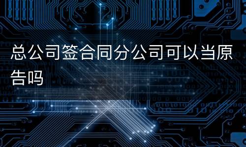 总公司签合同分公司可以当原告吗