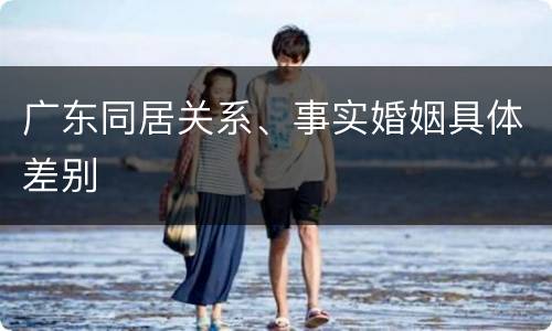广东同居关系、事实婚姻具体差别