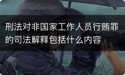 刑法对非国家工作人员行贿罪的司法解释包括什么内容