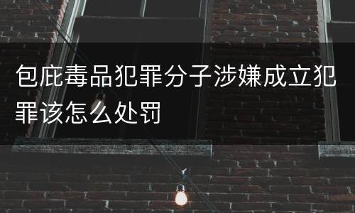 包庇毒品犯罪分子涉嫌成立犯罪该怎么处罚