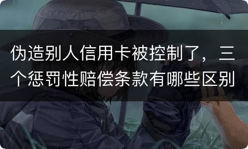 伪造别人信用卡被控制了，三个惩罚性赔偿条款有哪些区别呢