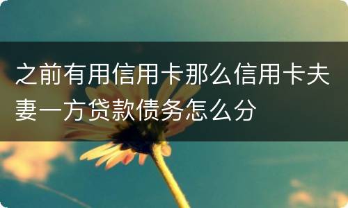 之前有用信用卡那么信用卡夫妻一方贷款债务怎么分