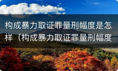 构成暴力取证罪量刑幅度是怎样（构成暴力取证罪量刑幅度是怎样算的）