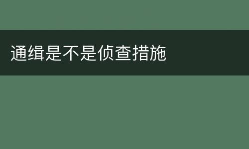 通缉是不是侦查措施