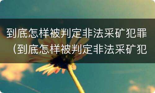 到底怎样被判定非法采矿犯罪（到底怎样被判定非法采矿犯罪呢）