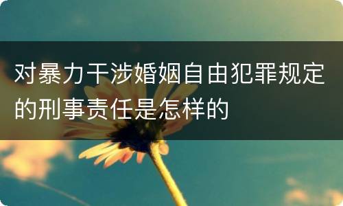对暴力干涉婚姻自由犯罪规定的刑事责任是怎样的