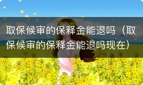 取保候审的保释金能退吗（取保候审的保释金能退吗现在）