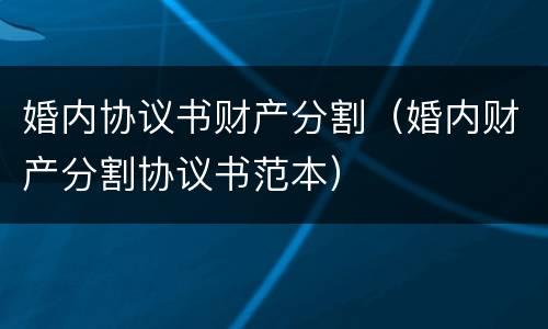 婚内协议书财产分割（婚内财产分割协议书范本）