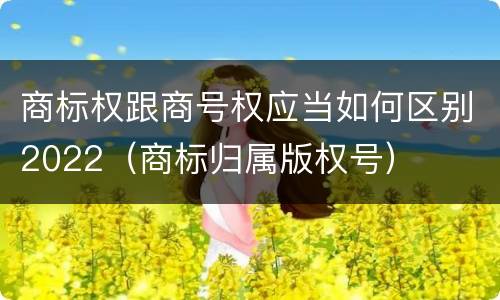 商标权跟商号权应当如何区别2022（商标归属版权号）